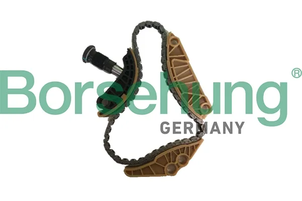 Cadena inferior de distribución B18779 Borsehung