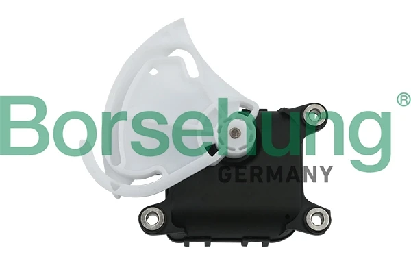 B11455 Borsehung