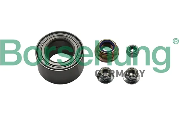 Cojinete de rueda delantero B15959 Borsehung