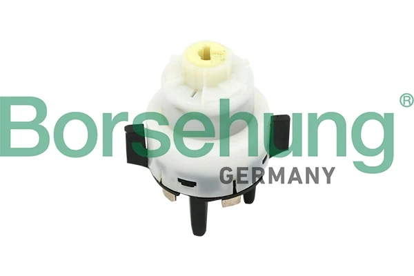 B17961 Borsehung