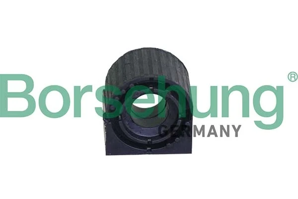 B10001 Borsehung