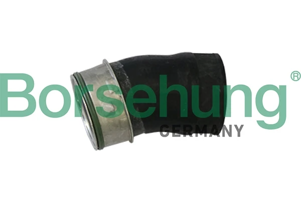 B11982 Borsehung