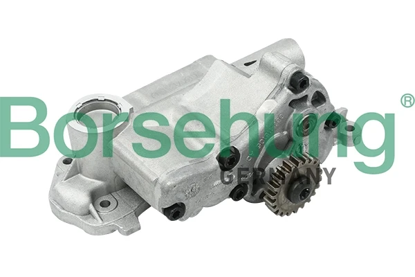 B12698 Borsehung