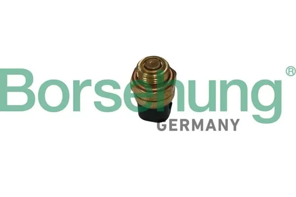 Sensor de temperatura B13130 Borsehung