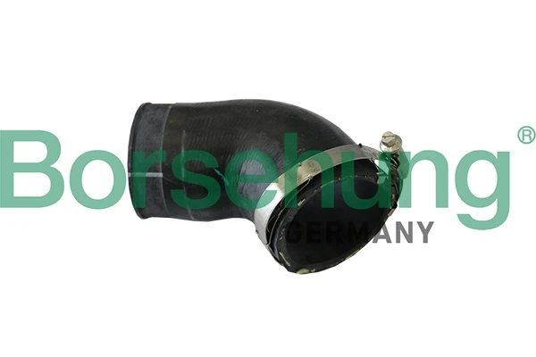 B11973 Borsehung