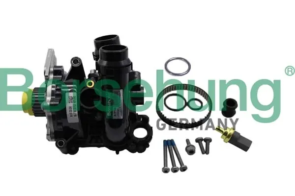  B19130 Borsehung