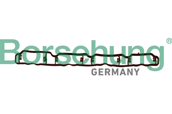 B19250 Borsehung