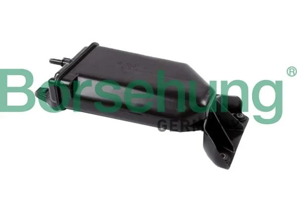 B12430 Borsehung
