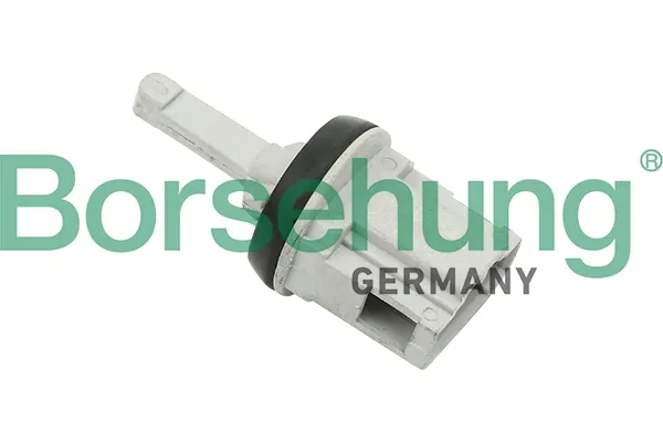 Sensor de la temperatura interior B11448 Borsehung