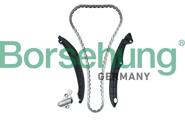 B17991 Borsehung