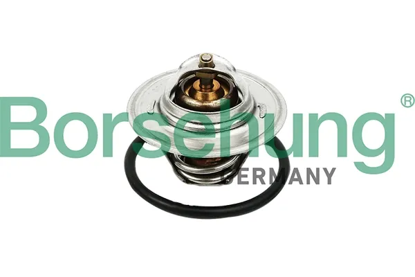 Termostato B13140 Borsehung