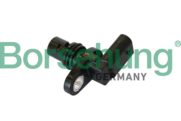 B11854 Borsehung
