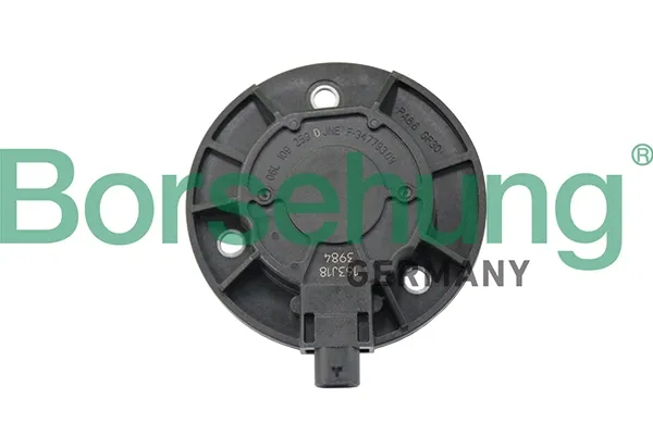 Válvula de control del árbol de levas B19124 Borsehung