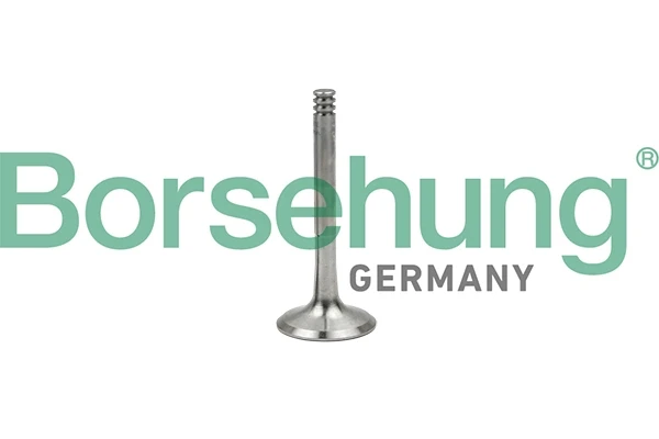B18997 Borsehung