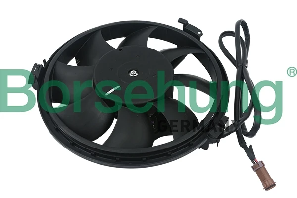 B11491 Borsehung