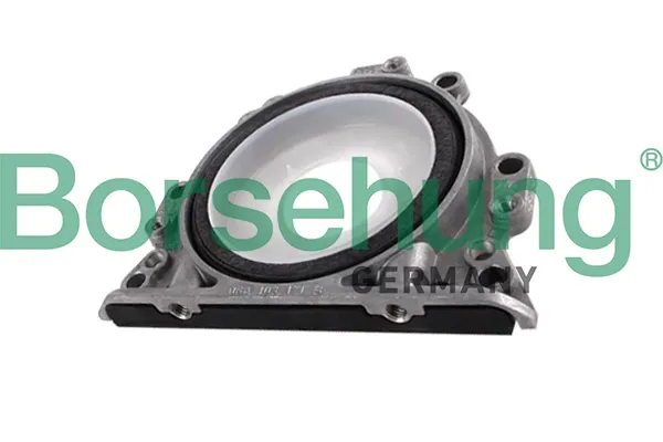 Retén de cigüeñal B12196 Borsehung