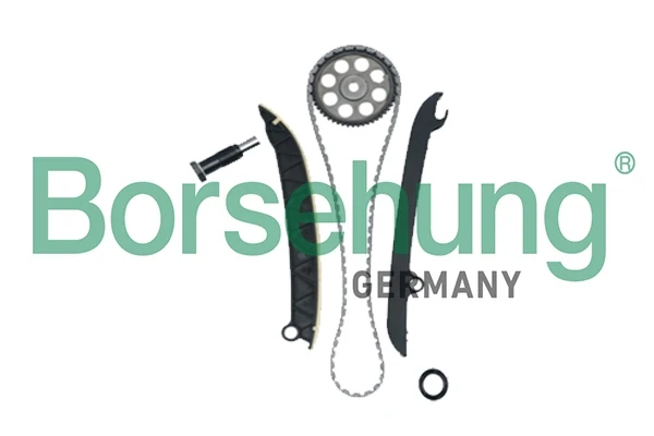 B18977 Borsehung
