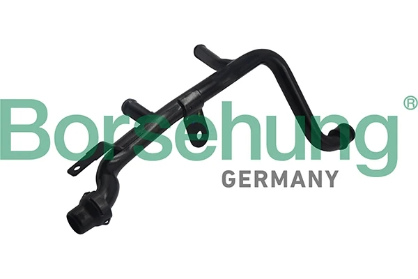 B19263 Borsehung