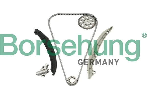 Kit de cadena de distribución B18960 Borsehung