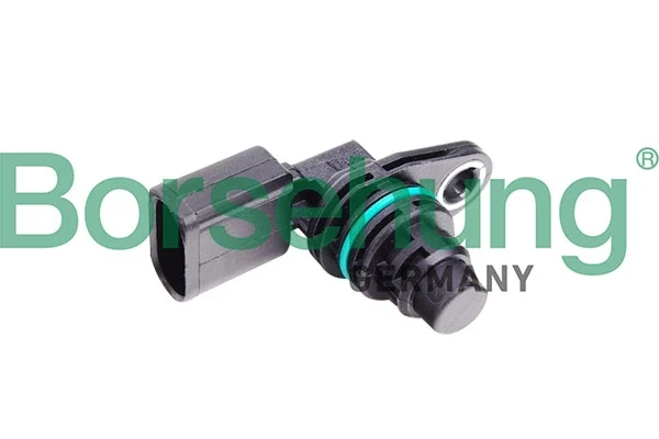 B11859 Borsehung