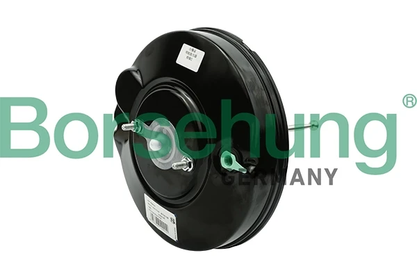B15998 Borsehung