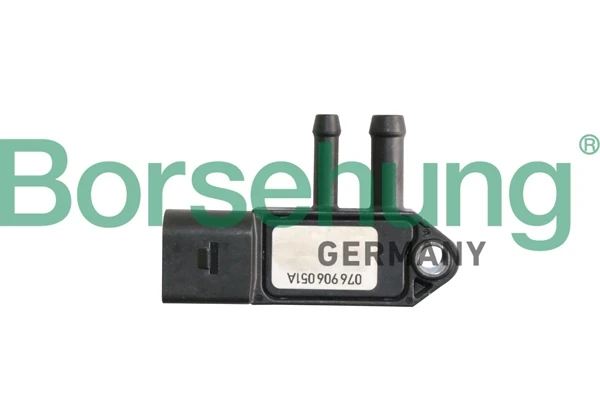 B11883 Borsehung