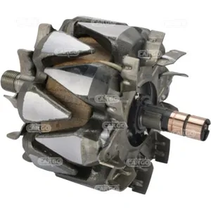 Rotor del alternador CARGO 139447
