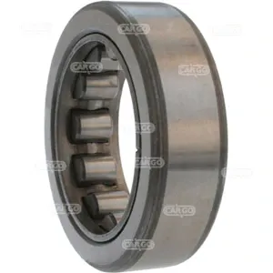 Rodamiento alternador Renault Trucks Mascott HH