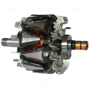 Rotor del alternador CARGO 234423