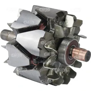 Rotor del alternador CARGO 333312