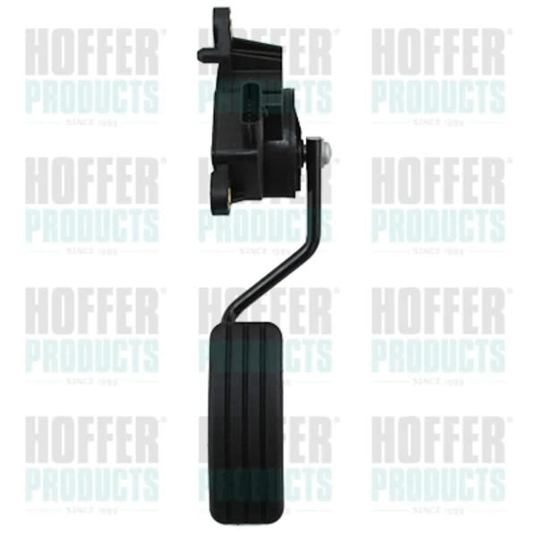 Pedal de acelerador Renault Scenic 2 (JM0)