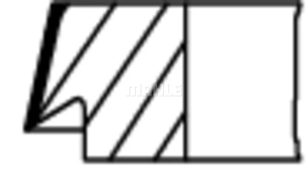 WG1257961 Wilmink Group