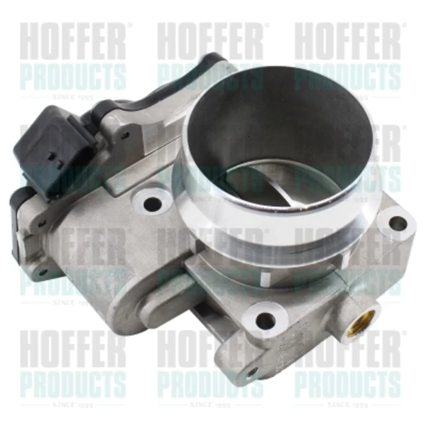 Cuerpo de mariposa completo Renault Master 3 (EV, HV, UV)