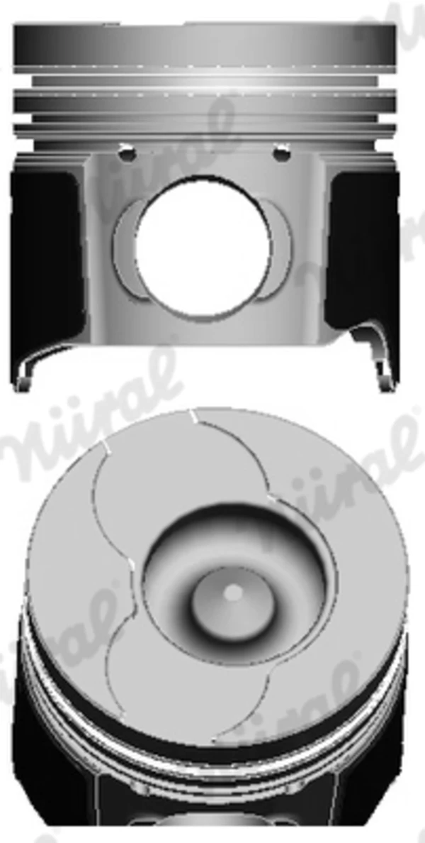 WG1175065 Wilmink Group