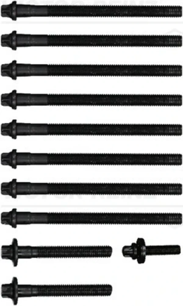 WG1911183 Wilmink Group