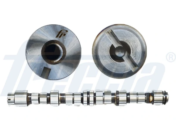 WG1155396 Wilmink Group