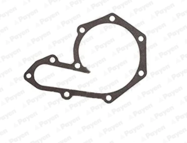 Junta, bomba de agua Renault DUSTER 2 (HM)