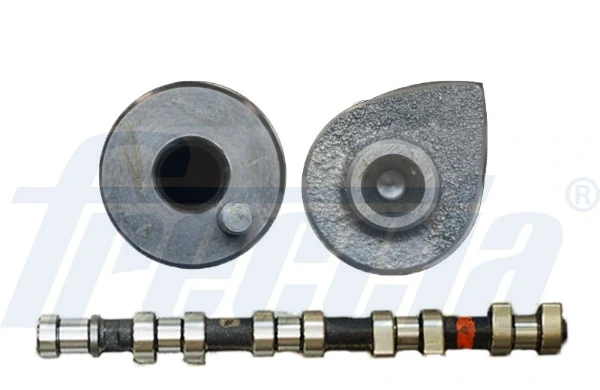 WG1155387 Wilmink Group