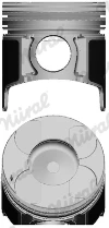 WG1175660 Wilmink Group