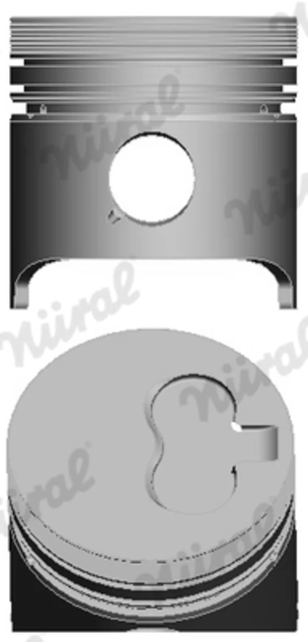 Pistón completo para 1 cilindro, STD Citroen ZX (N2)