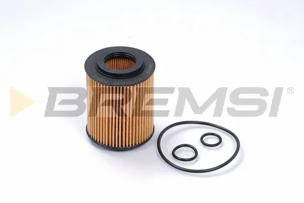 Filtro de aceite FL0013 Bremsi