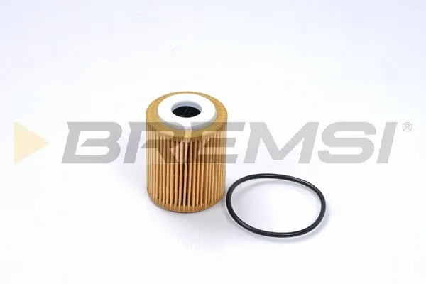 Filtro de aceite FL0027 Bremsi