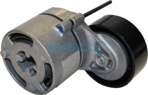 APV3181 Dayco