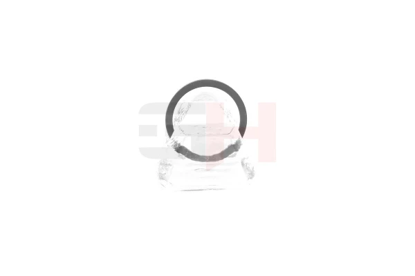 Anillo sensor, ABS GH493985 GH