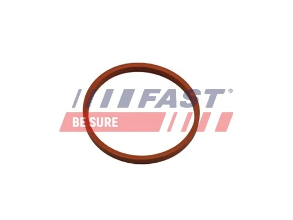 FT48932 Fast junta tórica para tubo intercooler