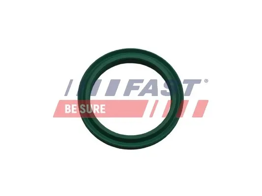 Anillo del conducto de aire de sobrealimentación FT48933 Fast