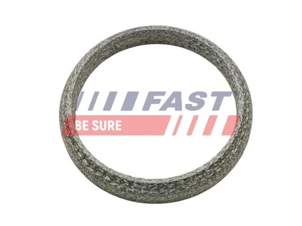 FT84818 Fast