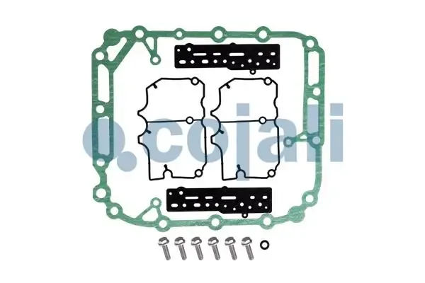 Kit reparación de caja de cambios 6012219 Cojali