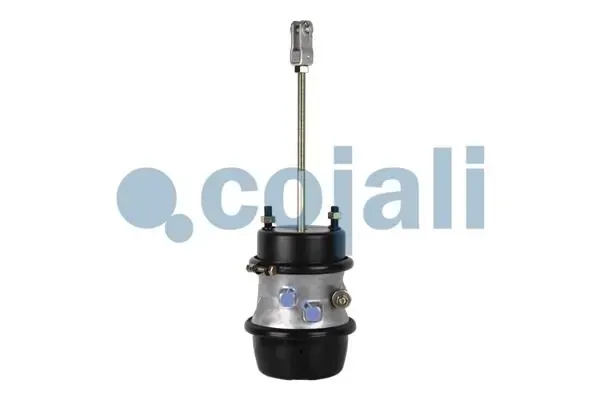Cámara de freno con acumulador de energía 2251426 Cojali
