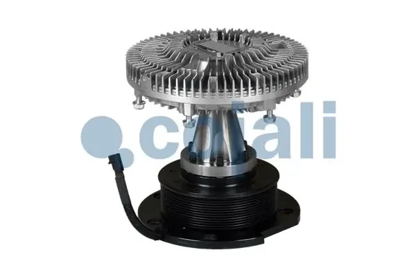 7053802 Cojali